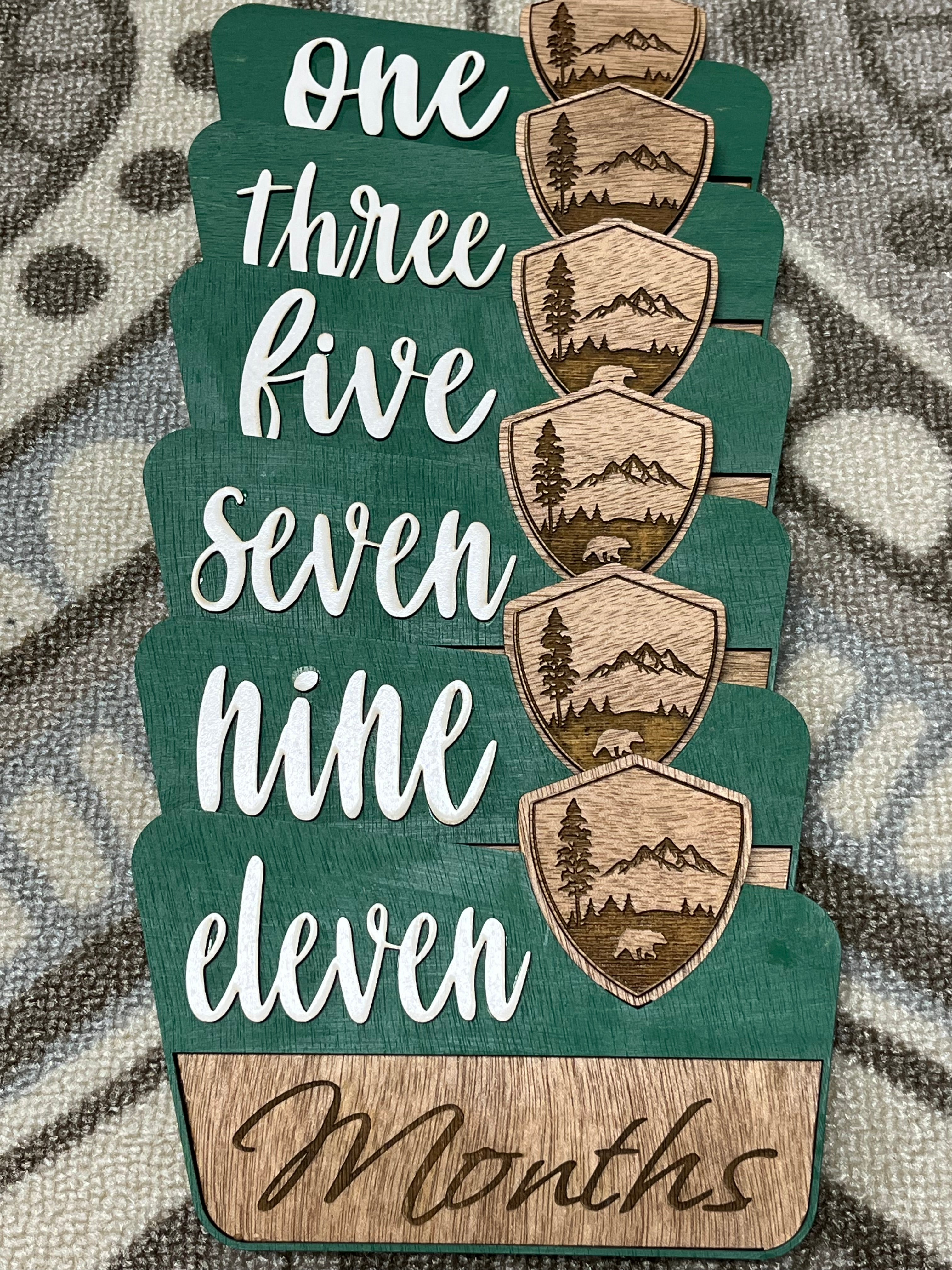 Park Milestone photo props - Sherrie’s Ky Creations